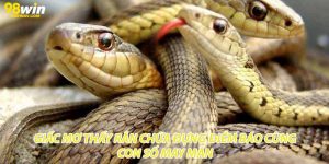 Giấc Mơ Thấy Rắn Chứa Đựng Điềm Báo Cùng Con Số May Mắn